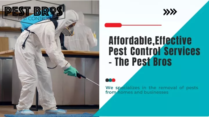 affordable effective pest control services