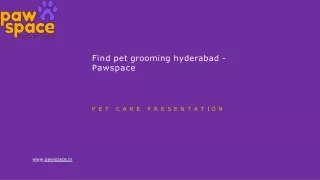 Find pet grooming hyderabad - Pawspace