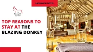 Sandwich Hotel - Top Reasons to stay at the Blazing Donkey