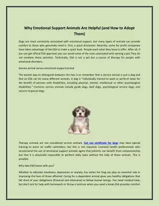 Why Emotional Support Animals Are Helpful