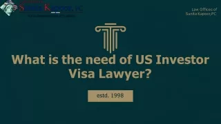 What is the need of US Investor Visa Lawyer?