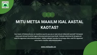 Mitu metsa maailm igal aastal kaotas