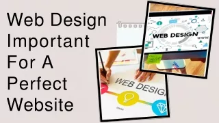 PPT - Web Design Important For A Perfect Website PowerPoint ...