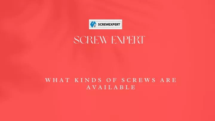 screw expert