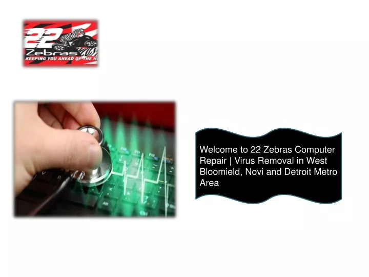 welcome to 22 zebras computer repair virus