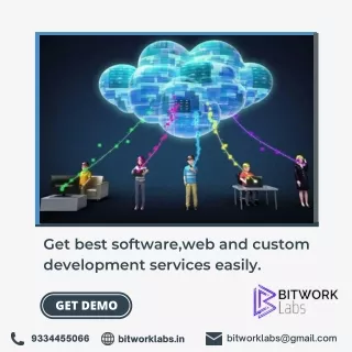 Get Web Based IT Solution Instant through Bitwork Labs