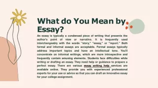 What do You Mean by Essay?