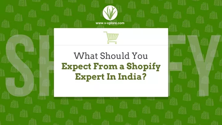 what should you expect from a shopify expert in india