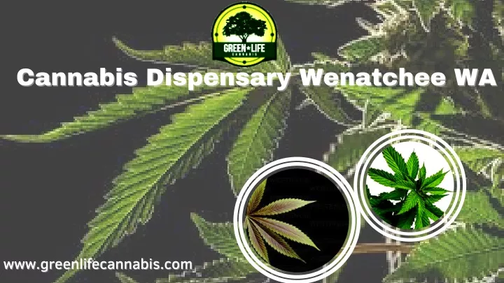 cannabis dispensary wenatchee wa cannabis