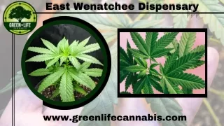 East Wenatchee’s Best Cannabis Dispensary - Green Life Cannabis
