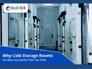 Why Cold Storage Rooms Are More Successful Than You Think