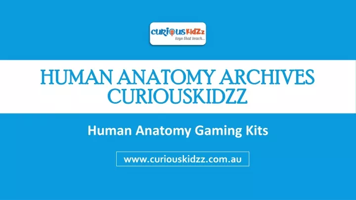 human anatomy archives curiouskidzz