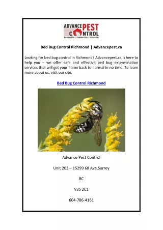 bed bug control richmond advancepest ca