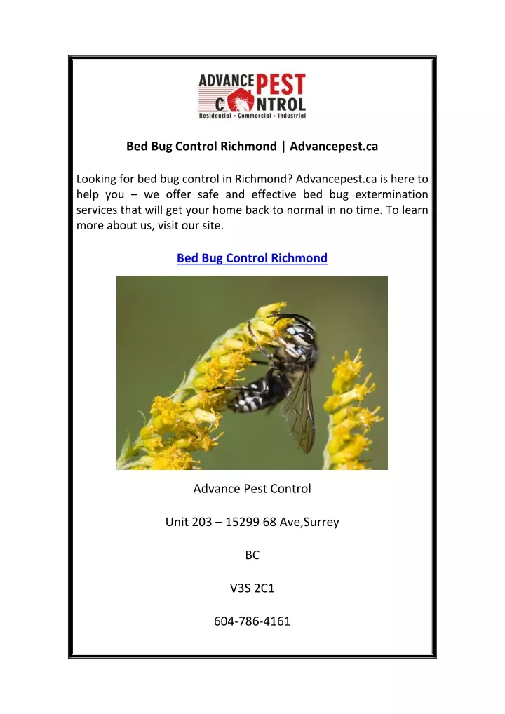 bed bug control richmond advancepest ca