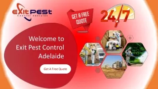 welcome to exit pest control adelaide