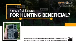 How Are Trail Cameras For Hunting beneficial