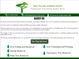 Tree Felling Durban North | Durban North