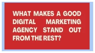 What Makes a Good Digital Marketing Agency Stand out from the Rest