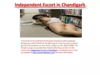 Escorts Services In Chandigarh