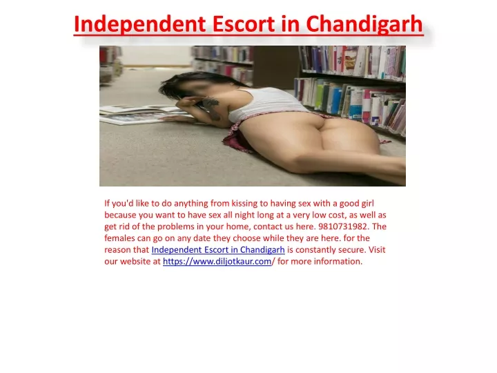 independent escort in chandigarh