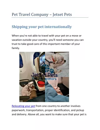 Pet Travel Company – Jetset Pets