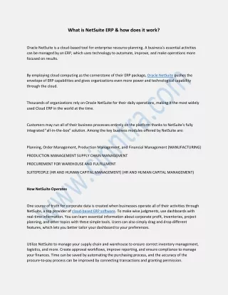 what is netsuite erp how does it work