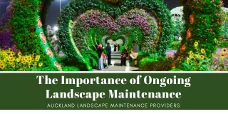 The Importance of Ongoing Landscape Maintenance