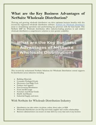 What are the Key Business Advantages of NetSuite Wholesale Distribution