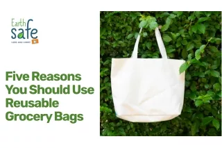 FIVE REASONS YOU SHOULD USE REUSABLE GROCERY BAGS | ECO-FRIENDLY GROCERY BAGS