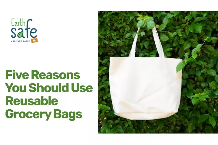 five reasons you should use reusable grocery bags