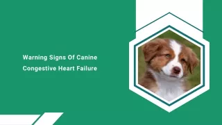 Warning Signs Of Canine Congestive Heart Failure