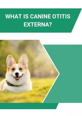 What is Canine Otitis Externa