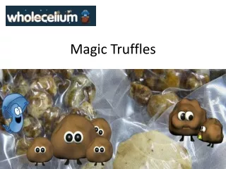 Buy Magic Truffles at Wholecelium