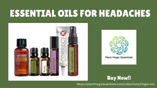 Essential Oils for Headaches - Plant Magic Essentials