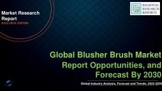 Blusher Brush Market will reach at a CAGR of 4.80% from 2022 to 2030