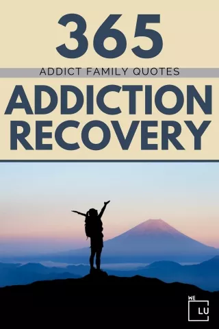 Addict Family Quotes