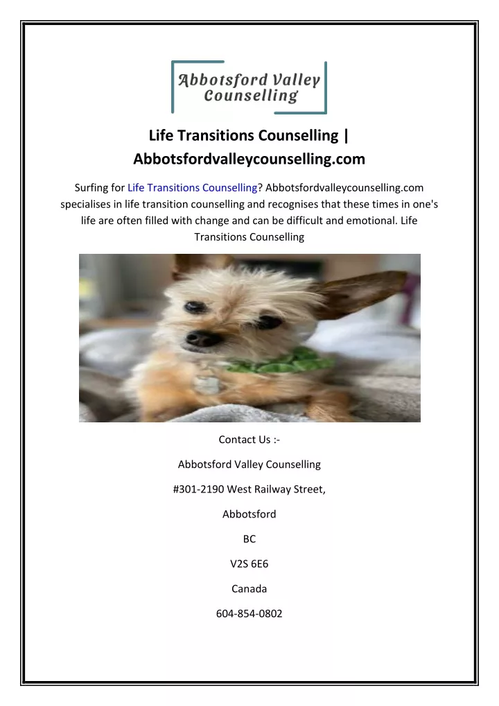 life transitions counselling