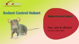 rodent control hobart