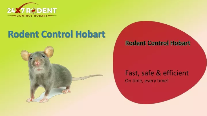 rodent control hobart
