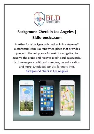 Background Check in Los Angeles  Bldforensics.com