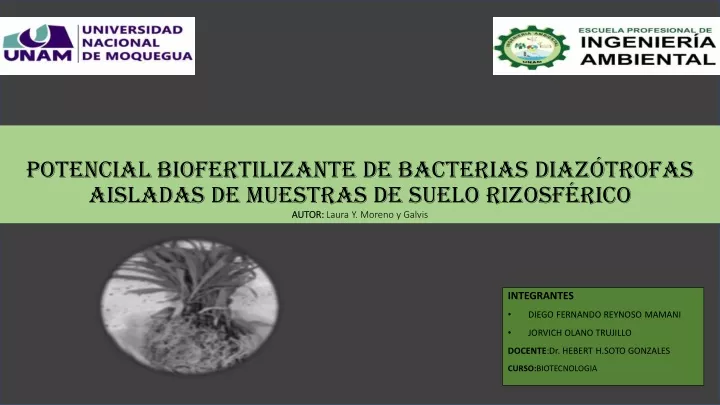potencial biofertilizante de bacterias diaz
