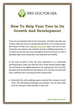 how to help your tree in its growth