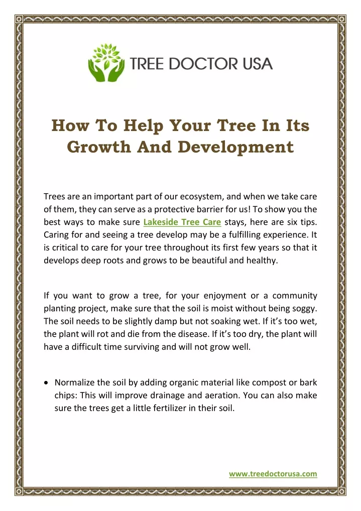 how to help your tree in its growth