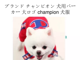ブランド チャンピオン 犬用パーカー 大ロゴ champion 犬服