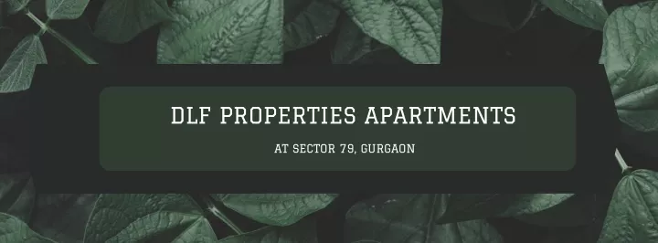 dlf properties apartments