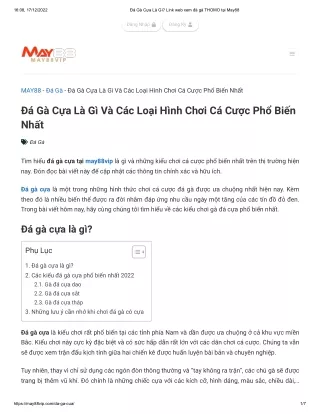 Đá Gà Cựa Là Gì_ Link web xem đá gà THOMO tại May88
