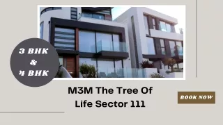M3M The Tree Of Life Sector 111 - Modern Home For Sale