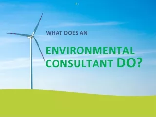 What Does an Environmental consultant in Qatar Do?