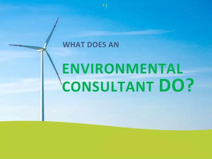 environmental consultant do