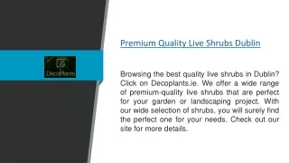 Premium Quality Live Shrubs Dublin  Decoplants.ie
